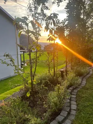 Ein Garten an der Unterkunft Bergpanorama