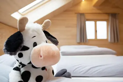 Ein Bett oder Betten in einem Zimmer der Unterkunft Bregenzerwälder Appartements Familie Fink