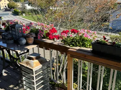 Ein Balkon oder eine Terrasse in der Unterkunft Ferienwohnung am Rhein