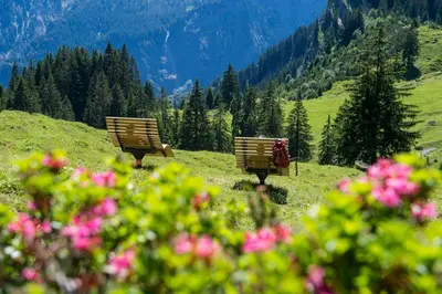 Naturlandschaft in der Nähe der Ferienwohnung