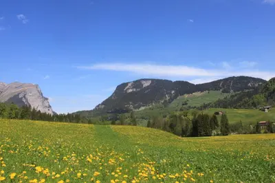 Naturlandschaft in der Nähe der Ferienwohnung