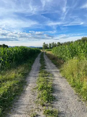 Naturlandschaft in der Nähe der Ferienwohnung