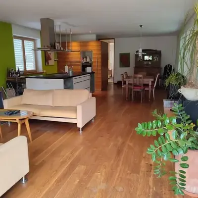 Loft mit Kamin und Whirlpool