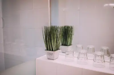 Grundriss der Unterkunft Apartment Auenfeld