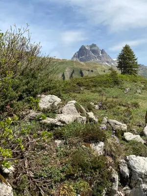Naturlandschaft in der Nähe der Ferienwohnung