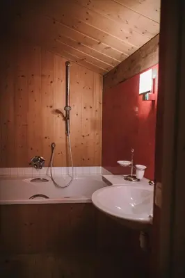 Ein Badezimmer in der Unterkunft Bregenzerwald Ferienhaus