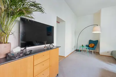 TV/Unterhaltungsangebot in der Unterkunft Stylische Altbauwohnung Bregenz am See
