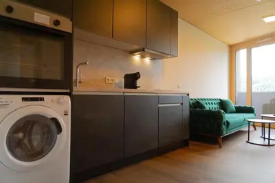 Küche/Küchenzeile in der Unterkunft Aparthouse Leonhard