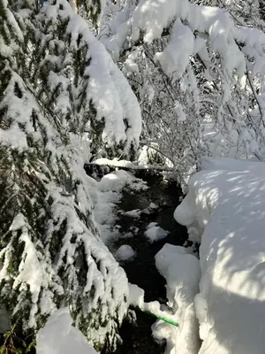 Ferienwohnung Bergblick am Rande der Wildnis im Winter