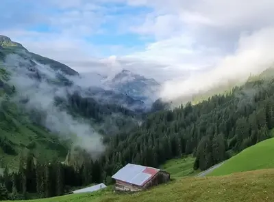 Naturlandschaft in der Nähe der Ferienwohnung