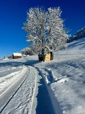 Apartment - Über den Wolken im Winter