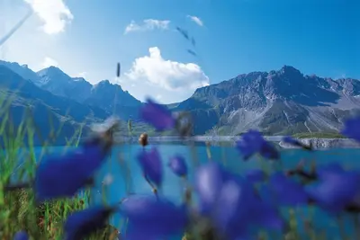 Naturlandschaft in der Nähe der Ferienwohnung