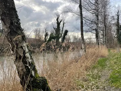 Naturlandschaft in der Nähe der Ferienwohnung