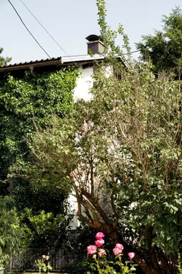 Ein Garten an der Unterkunft Ländlezimmer