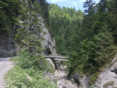 Naturlandschaft in der Nähe der Ferienwohnung