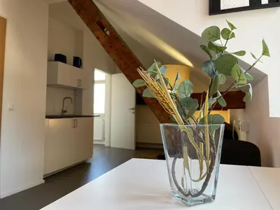 Küche/Küchenzeile in der Unterkunft Studio im Zentrum von Lochau, #3
