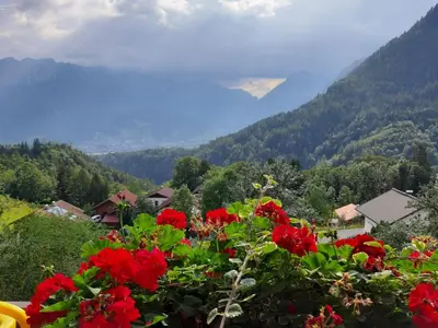 Naturlandschaft in der Nähe der Ferienwohnung