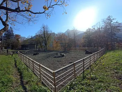 Grundriss der Unterkunft Zom Ruaba