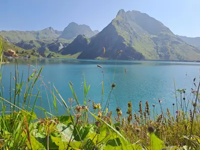 Naturlandschaft in der Nähe der Ferienwohnung