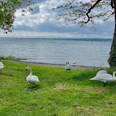 Naturlandschaft in der Nähe der Ferienwohnung