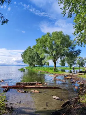 Naturlandschaft in der Nähe der Ferienwohnung