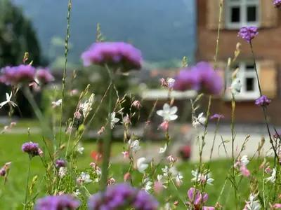 Ein Garten an der Unterkunft Bregenzerwälderhaus Ambros