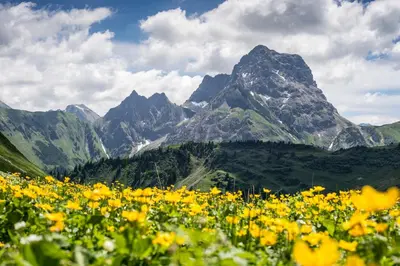 Naturlandschaft in der Nähe der Ferienwohnung