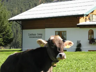 Tiere in der Ferienwohnung oder in der Nähe