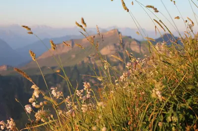 Naturlandschaft in der Nähe der Ferienwohnung