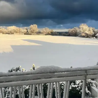 Seeblick Bodensee 6