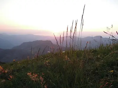 Naturlandschaft in der Nähe des Ferienhauses