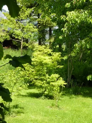 Ein Garten an der Unterkunft Ferienwohnung Allmein Top 3