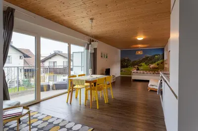 TV/Unterhaltungsangebot in der Unterkunft FLEXhome your central, calm and cosy place in Dornbirn