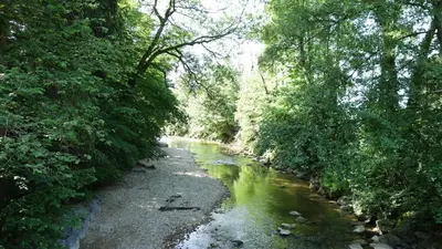 Naturlandschaft in der Nähe der Ferienwohnung