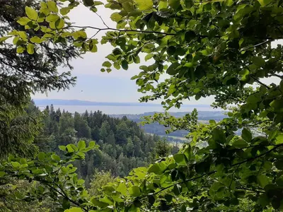 Naturlandschaft in der Nähe der Ferienwohnung