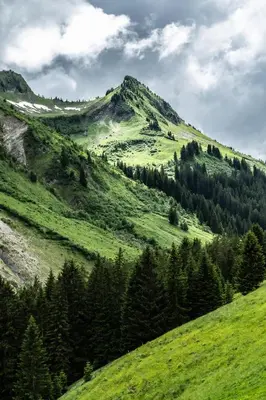Naturlandschaft in der Nähe des Gasthauses