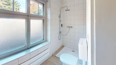 Ein Badezimmer in der Unterkunft CROWN LIVING Villa Schillerstraße Dornbirn - Historisches Wohnen, nostaltigsches Apartment, ideal für Feriengäste und Geschäftsreisende, Parkplatz, zentrumsnah, Self Check-in