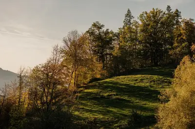 Naturlandschaft in der Nähe des Hotels