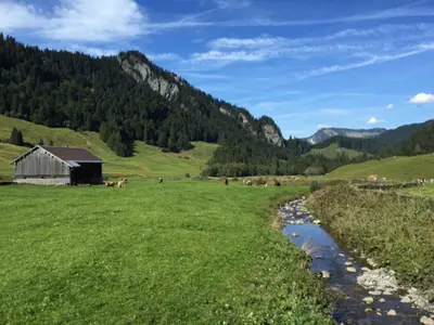 Naturlandschaft in der Nähe der Ferienwohnung