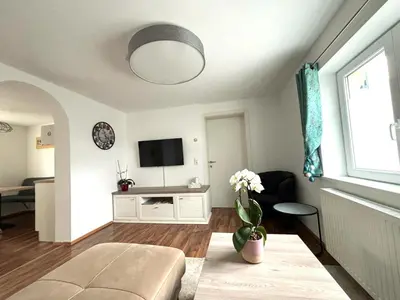 TV/Unterhaltungsangebot in der Unterkunft COVE Appart