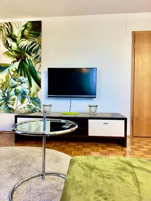 TV/Unterhaltungsangebot in der Unterkunft Boutique Appartement mit Balkon