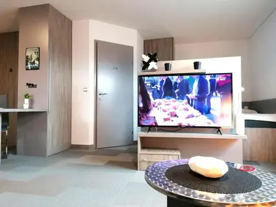 TV/Unterhaltungsangebot in der Unterkunft Business Apartments