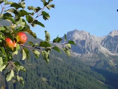 Grundriss der Unterkunft Alpen Komfort - Fontain