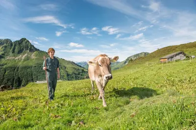 Naturlandschaft in der Nähe des Ferienhauses