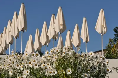 Ein Garten an der Unterkunft Propstei Sankt Gerold