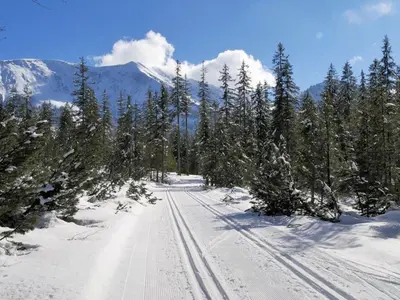 Sonnalpin Waldhaus holiday residence im Winter