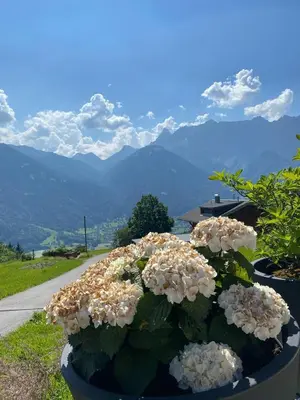Naturlandschaft in der Nähe der Ferienwohnung