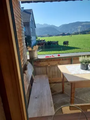 Ein allgemeiner Bergblick oder ein Berglick von der Ferienwohnung aus