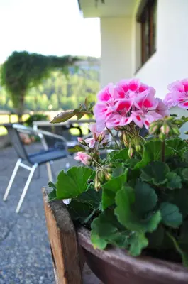 Ein Garten an der Unterkunft Rössle Appartement