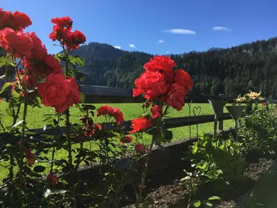 Naturlandschaft in der Nähe der Ferienwohnung